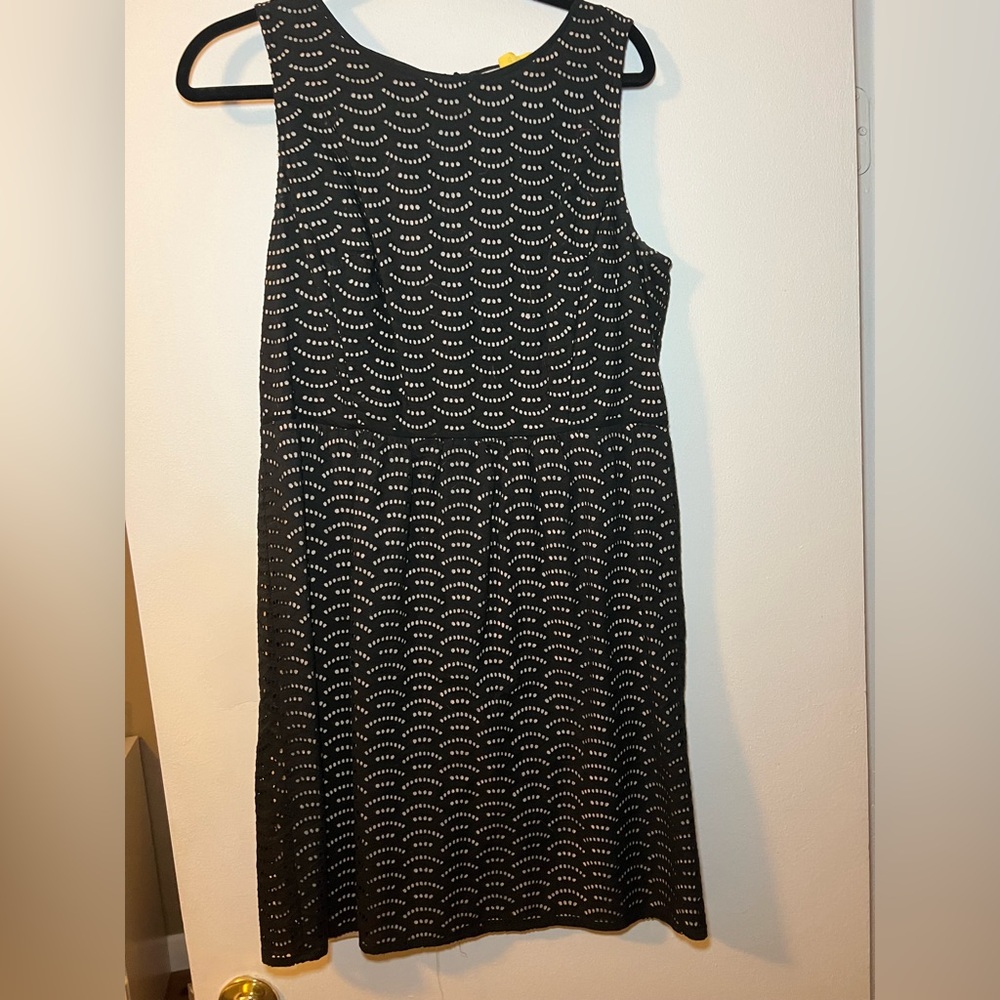 Ann Taylor Loft Black and Nude scalloped dress
